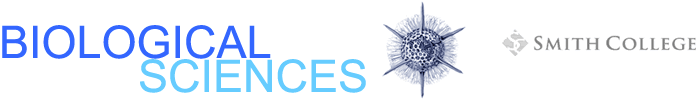 Biological Sciences