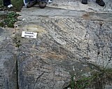 greenfield53.jpg