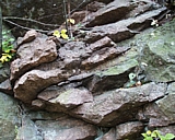 mttom02.jpg
