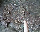mttom07.jpg