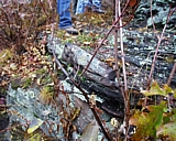 mt_tom05.jpg