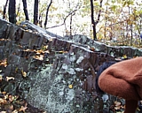 mt_tom08.jpg