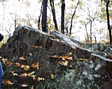 mt_tom09.jpg
