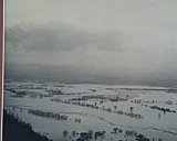 pratt04.jpg