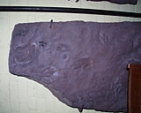pratt11.jpg