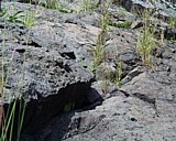 turnersfalls07.jpg