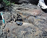 turnersfalls09.jpg