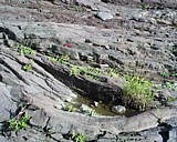 turnersfalls29.jpg