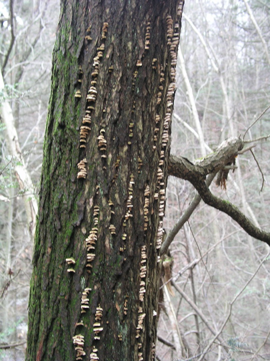 Connecticut - 40