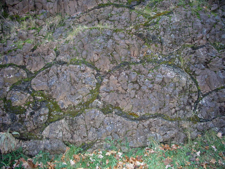 Connecticut - 50