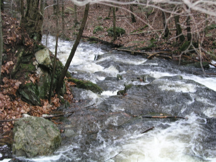 Connecticut - 24