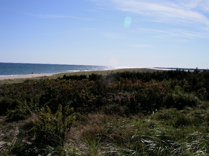 Cape_Cod - 013