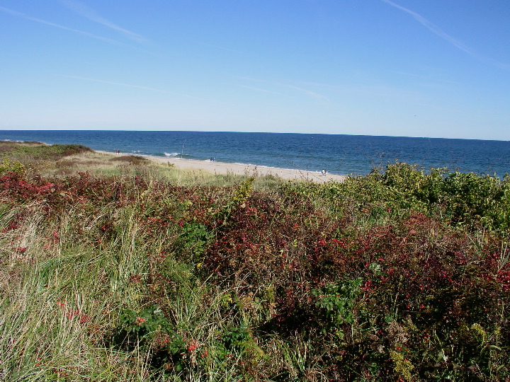 Cape_Cod - 014