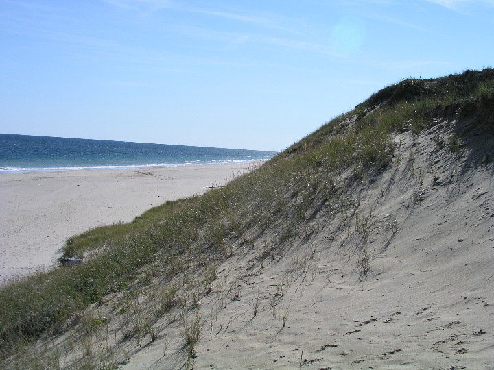 Cape_Cod - 020