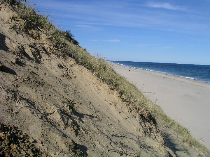 Cape_Cod - 038