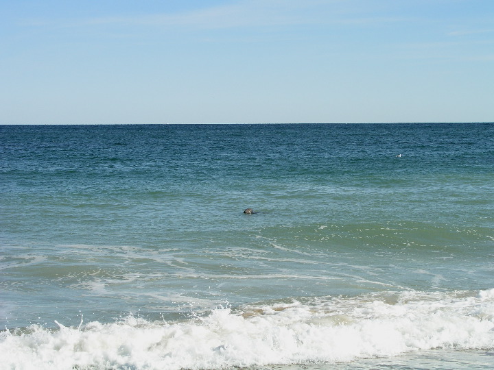 Cape_Cod - 046
