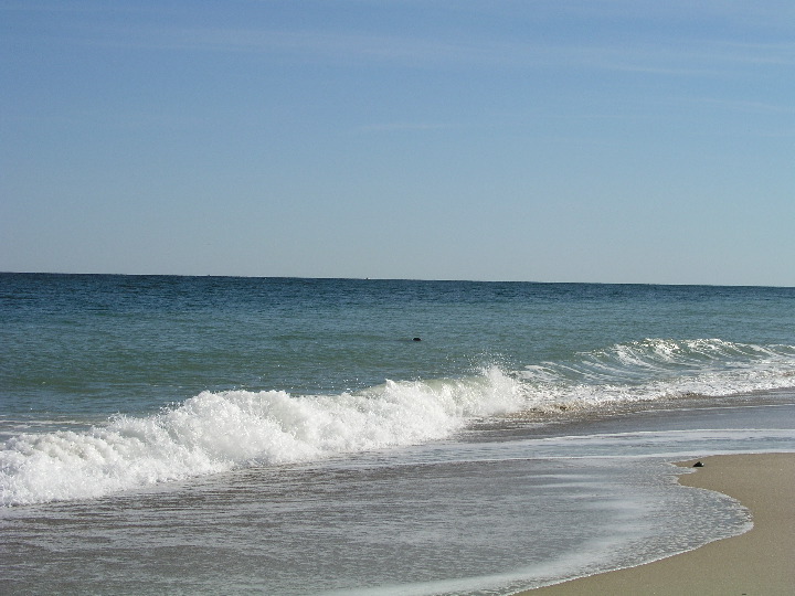 Cape_Cod - 047