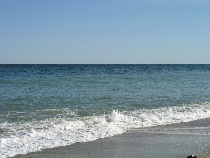 Cape_Cod - 049