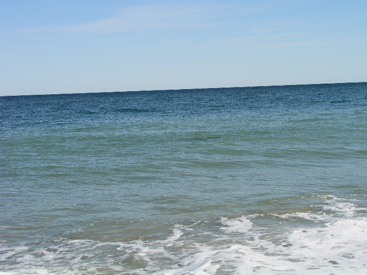 Cape_Cod - 050