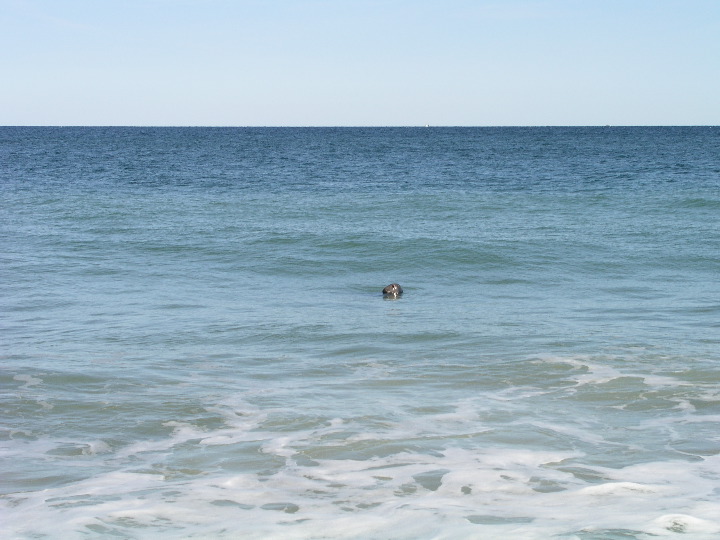 Cape_Cod - 052
