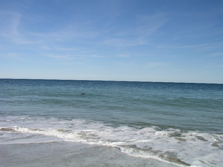 Cape_Cod - 054