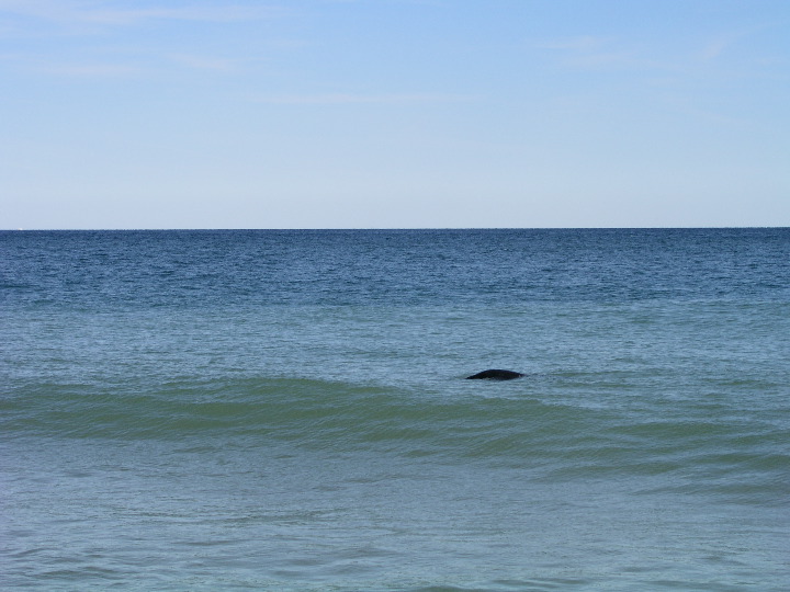 Cape_Cod - 055