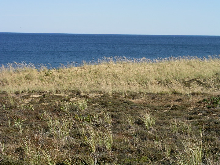 Cape_Cod - 072