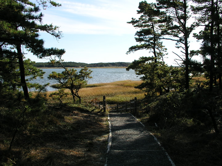 Cape_Cod - 074