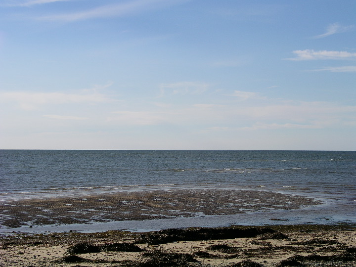 Cape_Cod - 092