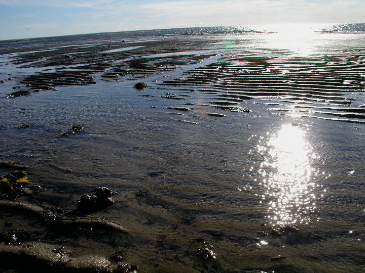 Cape_Cod - 094
