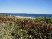 Cape_Cod - 014