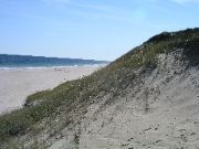 Cape_Cod - 020
