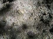Cape_Cod - 003