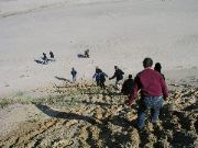 Cape_Cod - 039