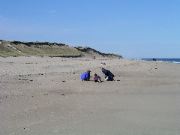 Cape_Cod - 059