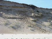 Cape_Cod - 069