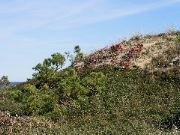 Cape_Cod - 071