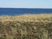 Cape_Cod - 072