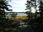 Cape_Cod - 074