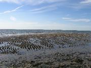 Cape_Cod - 093