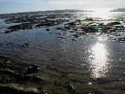 Cape_Cod - 094