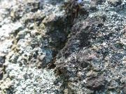 Cape_Cod - 010