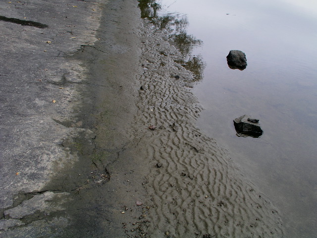 P9040013.JPG