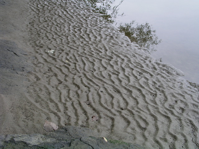 P9040016.JPG