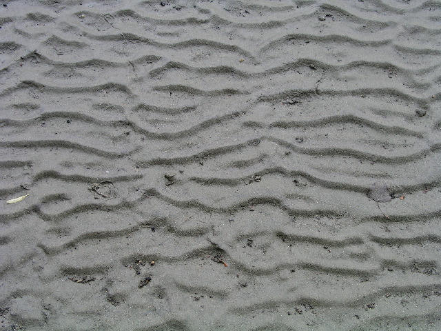 P9040017.JPG