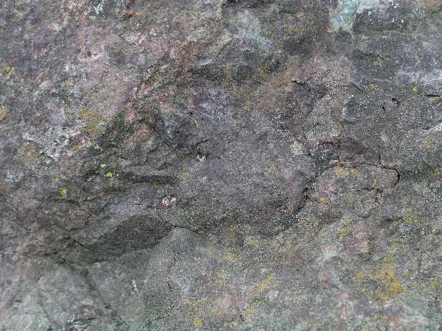 P9040018.JPG