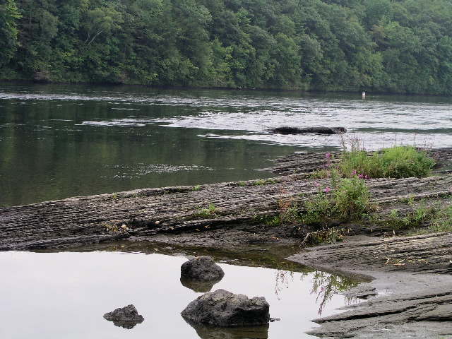 P9040022.JPG
