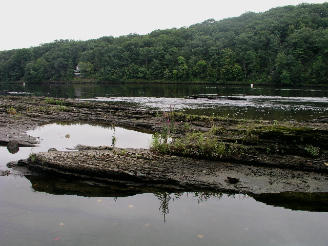 P9040003.JPG