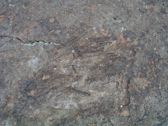 P9040024.JPG