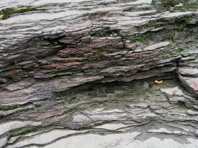 P9040026.JPG